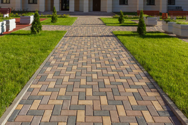 Best Driveway Paving Near Me  in Crandon, WI